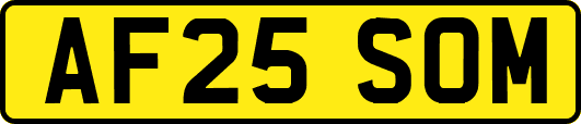 AF25SOM