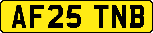AF25TNB