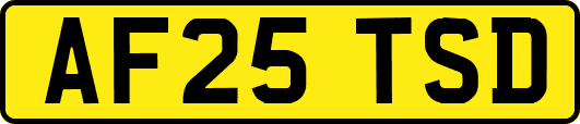 AF25TSD