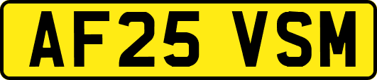 AF25VSM