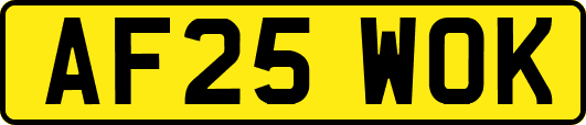 AF25WOK