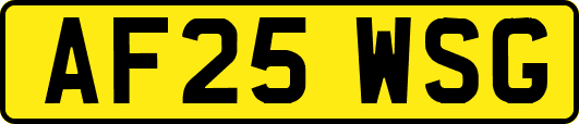 AF25WSG