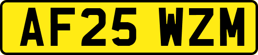 AF25WZM