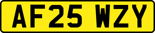 AF25WZY