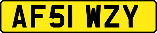 AF51WZY
