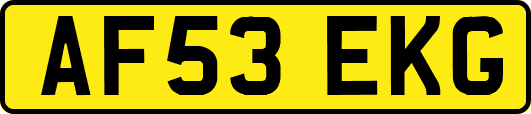 AF53EKG