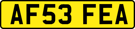 AF53FEA