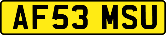 AF53MSU