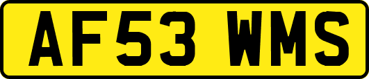 AF53WMS
