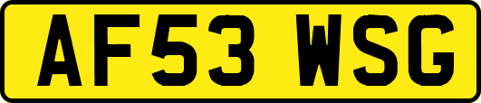 AF53WSG