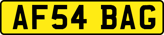 AF54BAG