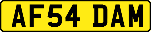 AF54DAM