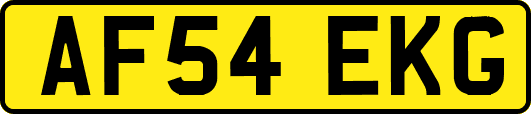 AF54EKG
