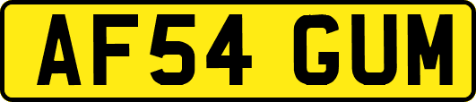 AF54GUM