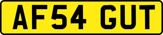 AF54GUT