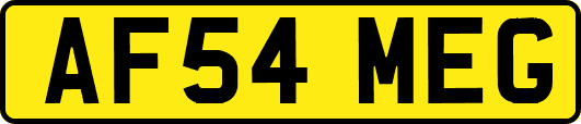 AF54MEG