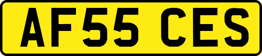 AF55CES