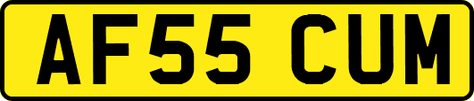 AF55CUM