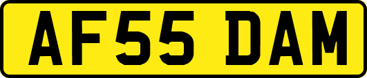 AF55DAM