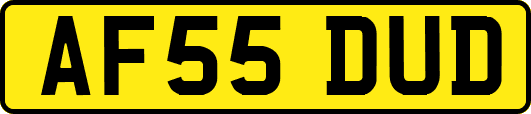 AF55DUD