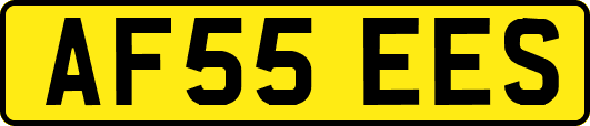 AF55EES