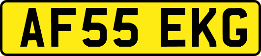 AF55EKG
