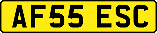 AF55ESC