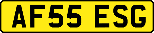 AF55ESG