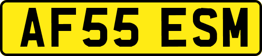AF55ESM