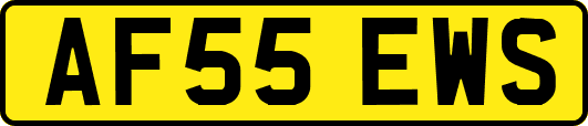 AF55EWS