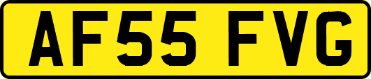 AF55FVG