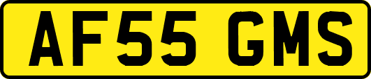 AF55GMS