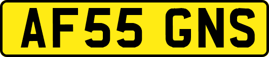 AF55GNS
