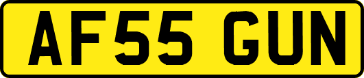 AF55GUN
