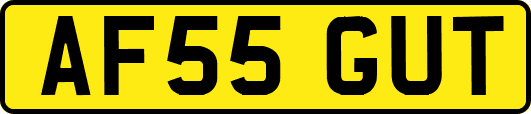 AF55GUT