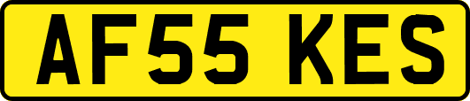 AF55KES