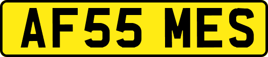 AF55MES
