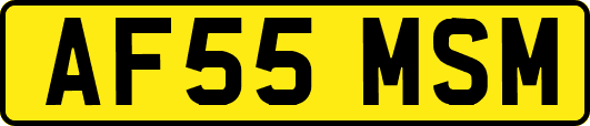 AF55MSM