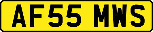 AF55MWS