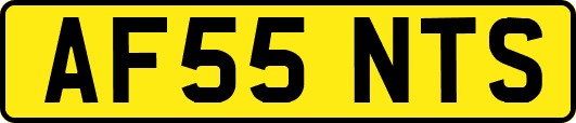 AF55NTS