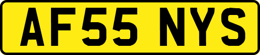 AF55NYS
