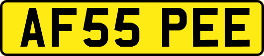 AF55PEE