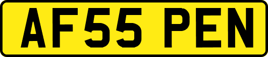 AF55PEN