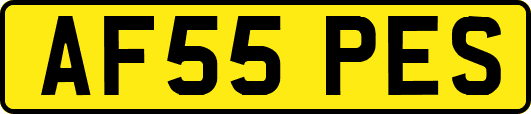 AF55PES