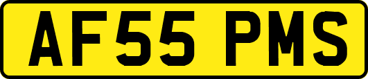 AF55PMS