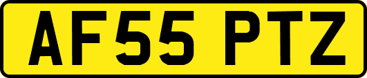 AF55PTZ