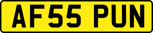 AF55PUN