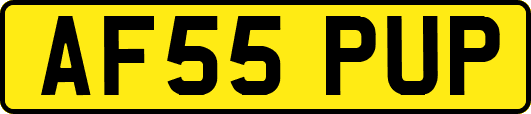 AF55PUP