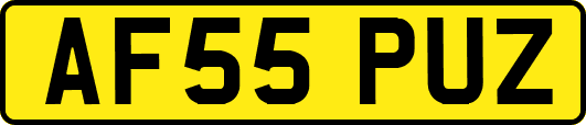 AF55PUZ