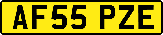 AF55PZE